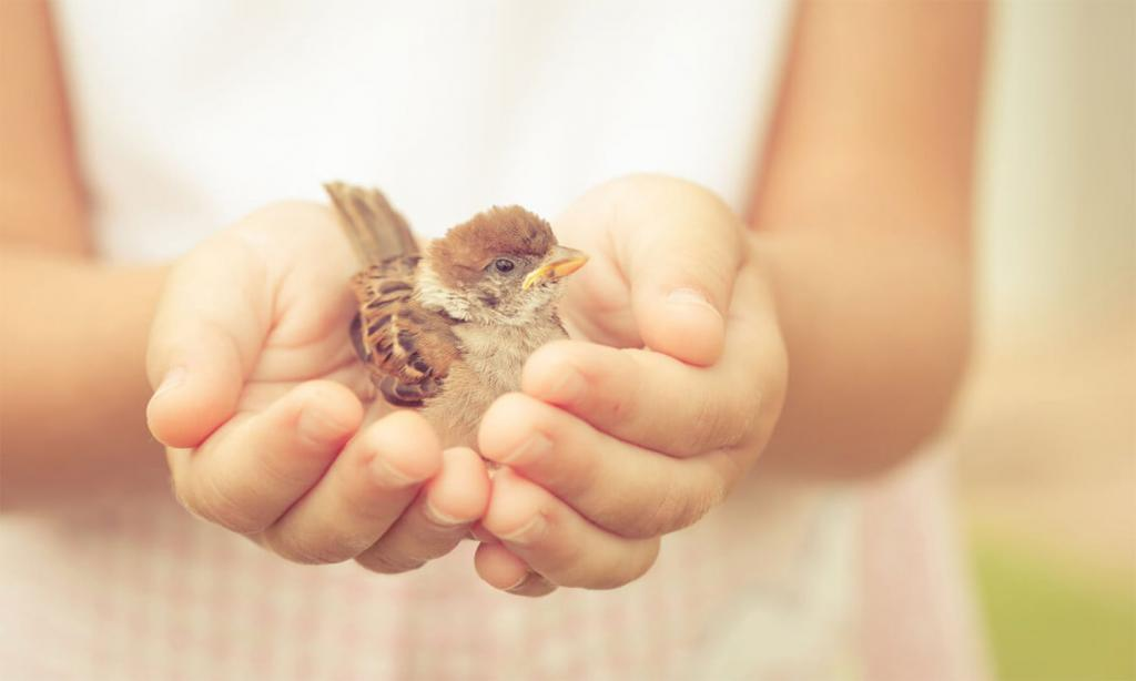 взято из открытых источников. доброта пускает слезы!