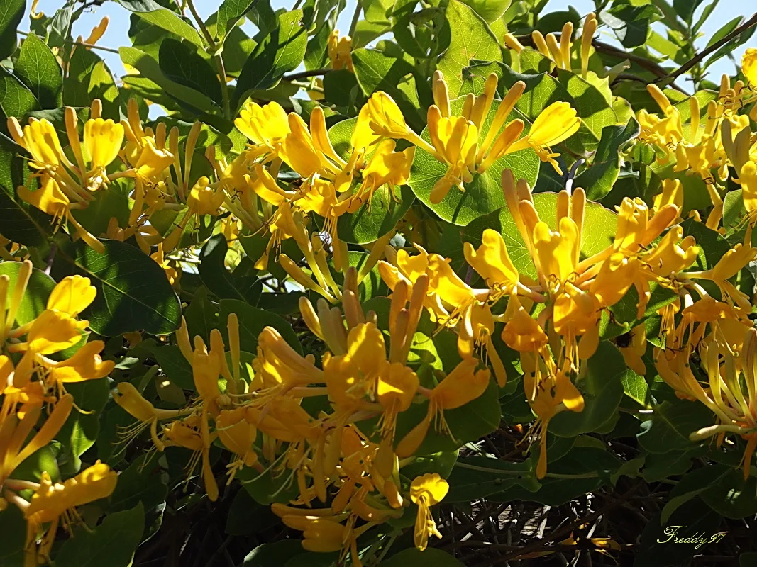 Источник.Яндекс.Картинки.