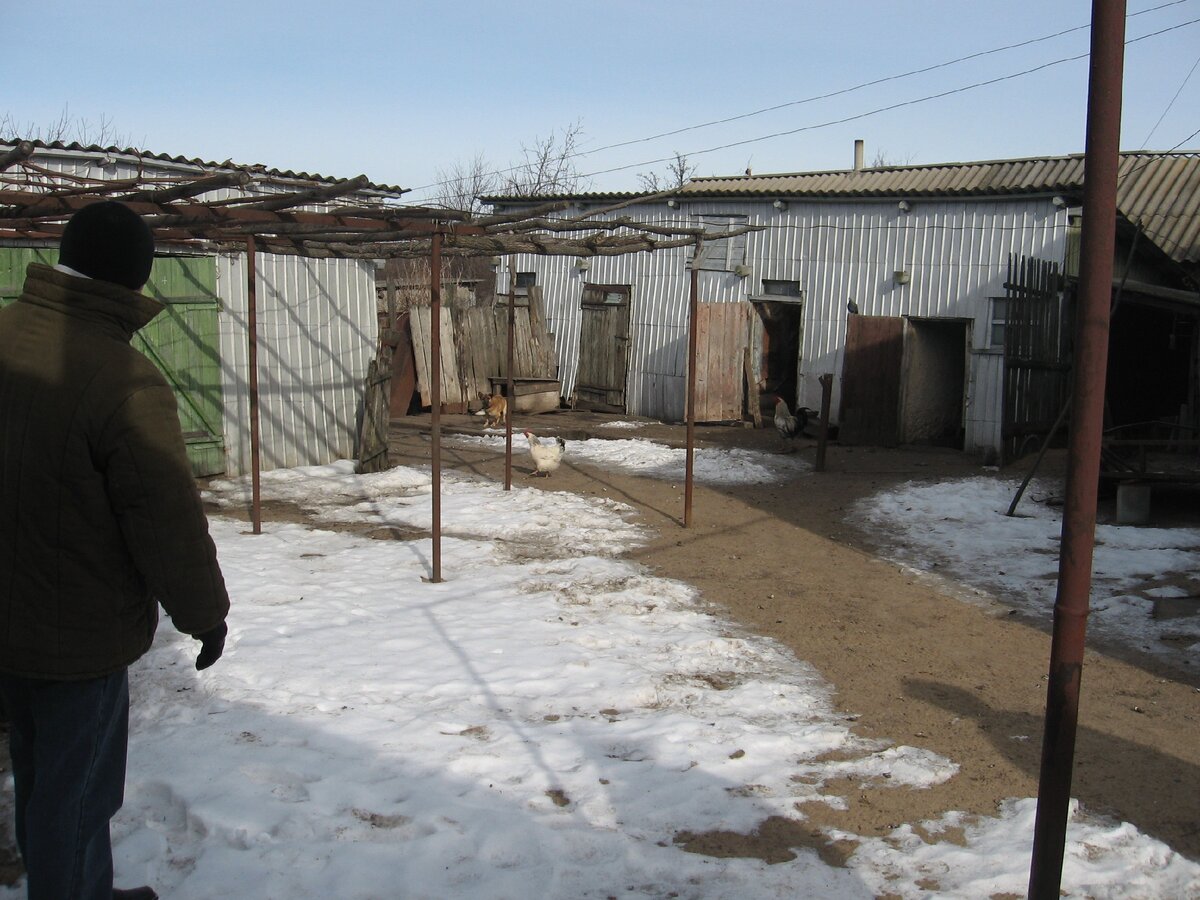 Двор и надворные постройки.