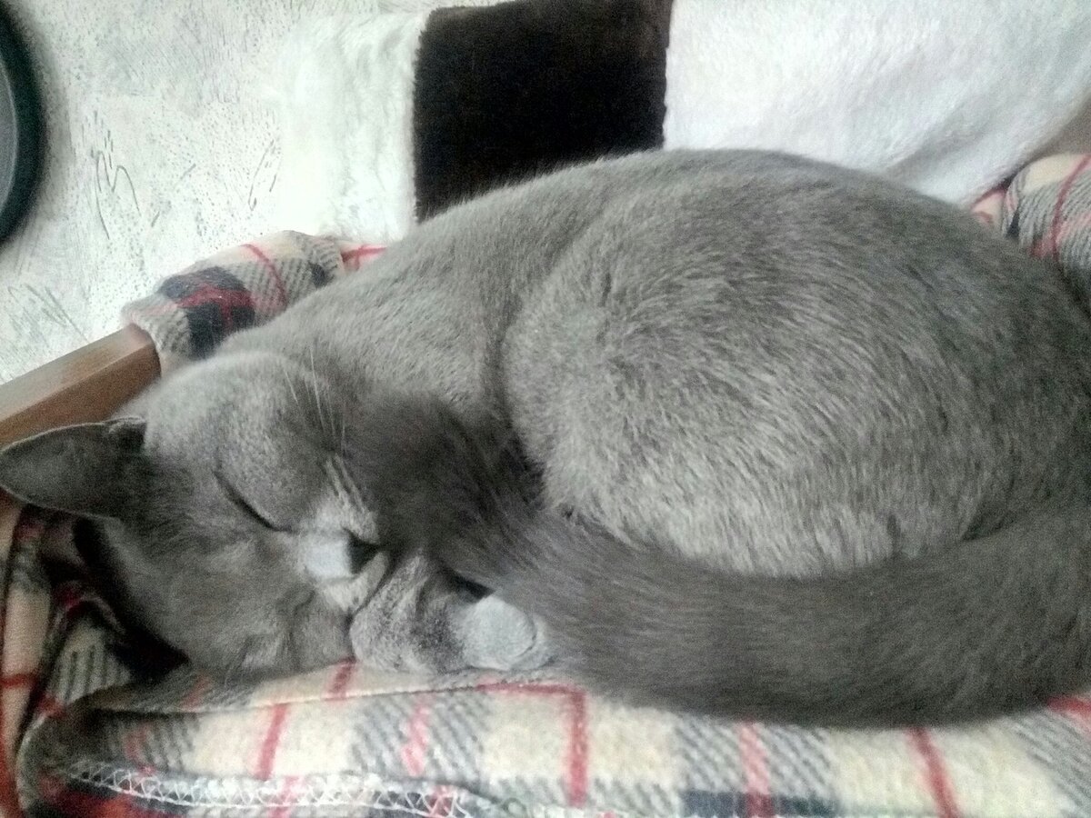 Шаня заворачивается в кокон, чтобы согреться. Фото автора