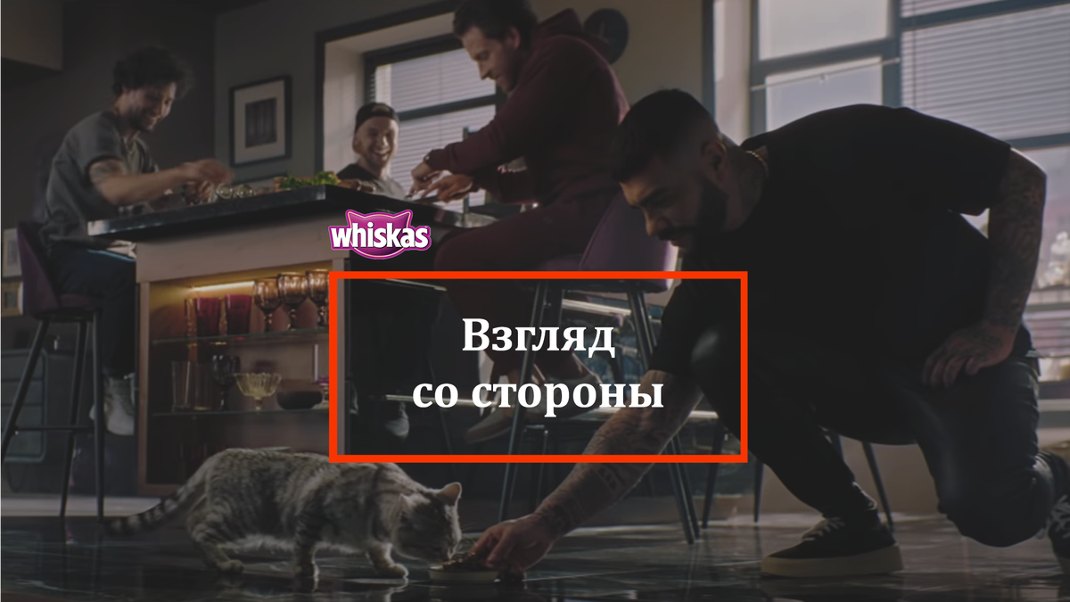 Реклама Whiskas с участием Тимати - мнение маркетингового агентства 