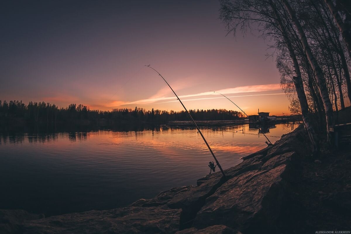 Фото из открытых источников