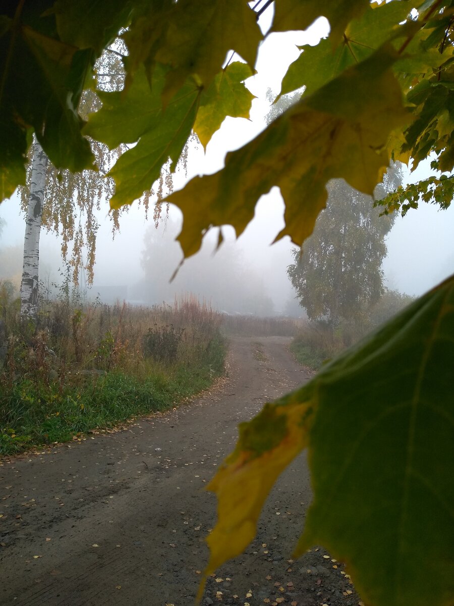 Почти всегда это природное явление встречается на высоте не более 1 км над поверхностью.
Водяные капли в тумане имеют размер всего около 0,01 мм.