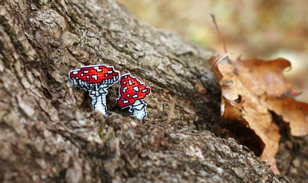 Фото автора.