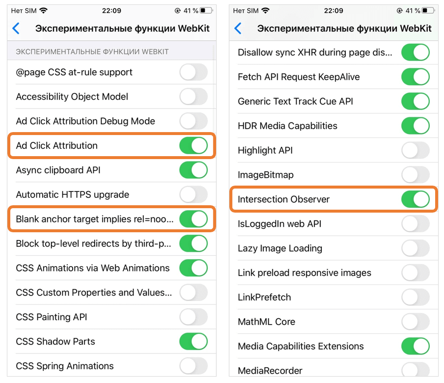 Функции iphone. Экспериментальные функции Safari айфон. Сафари экспериментальные функции. Экспериментальные функции webkit. Настройки сафари на айфоне.