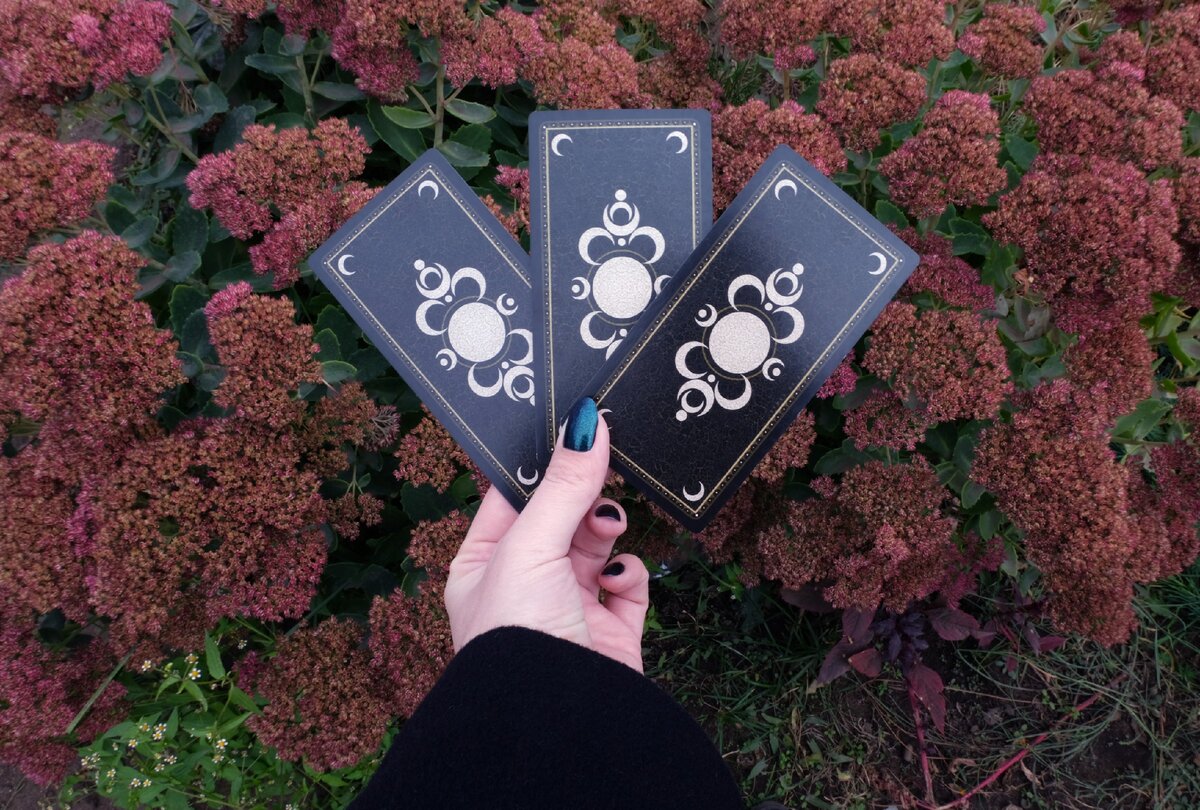 Фото автора.