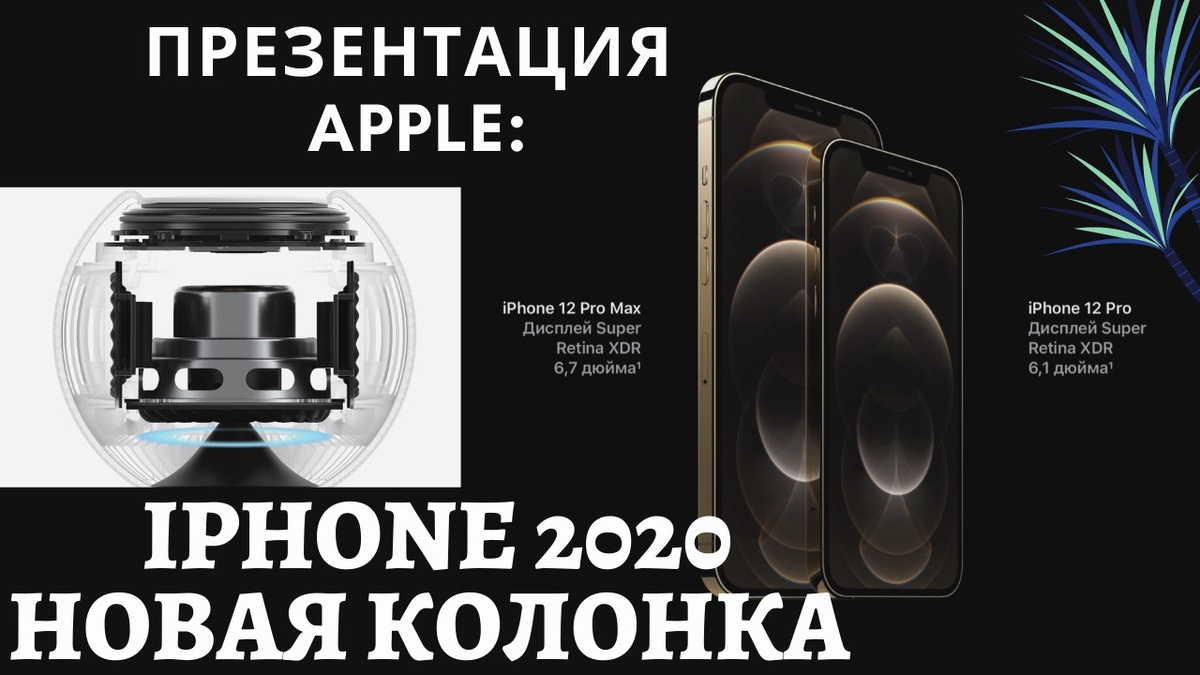 Презентация Apple 2020: новая колонка HomePod mini и iPhone 12 Pro Max |  Барклай студия | Дзен