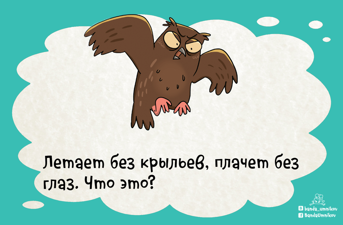 Летает без крыльев, плачет без глаз. Кто это? 🐔 | Банда умников | Дзен