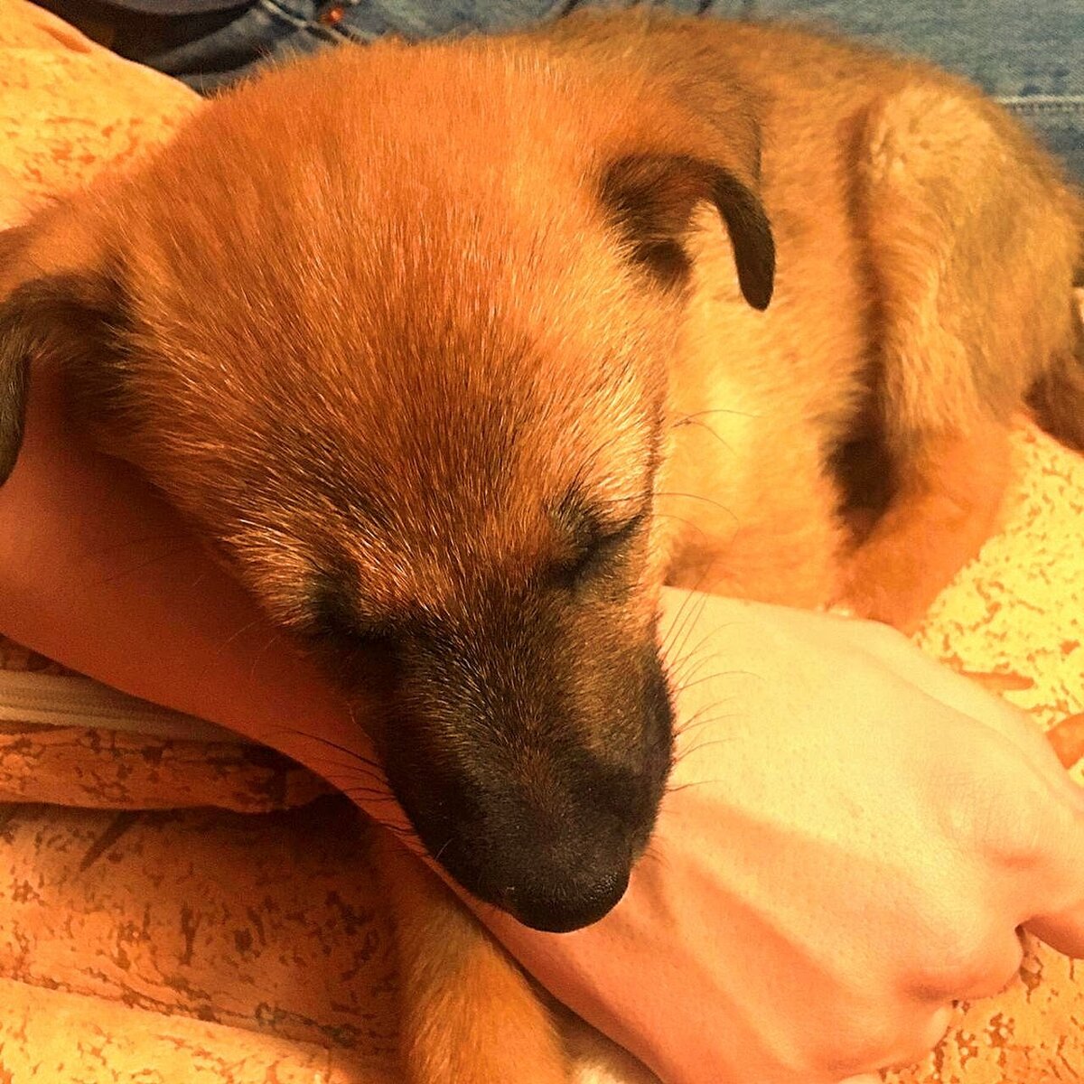 Маленький шкед :)