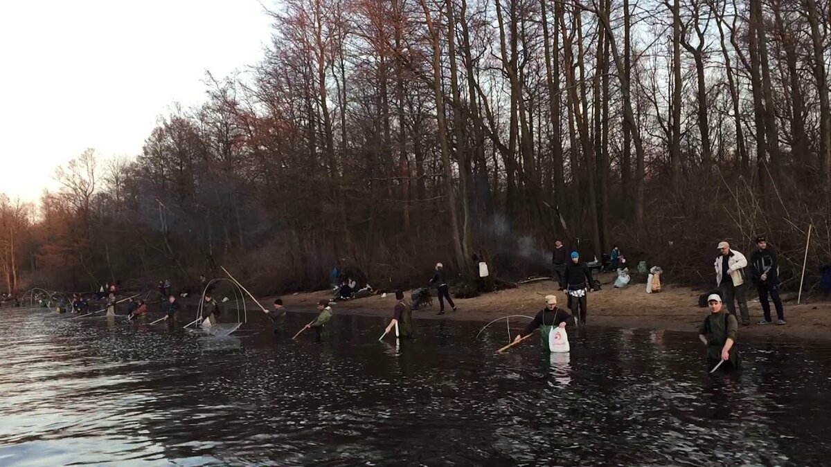 Народ развлекается на Водосливном канале города Сестрорецка...
