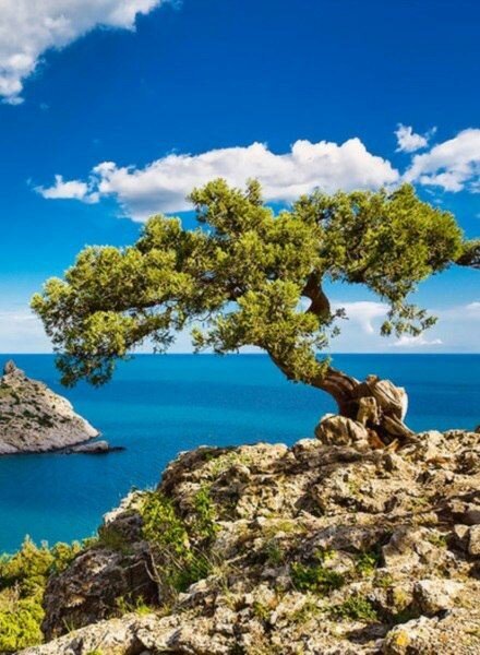 Фото взято из открытого источника.Для разбавления текста.