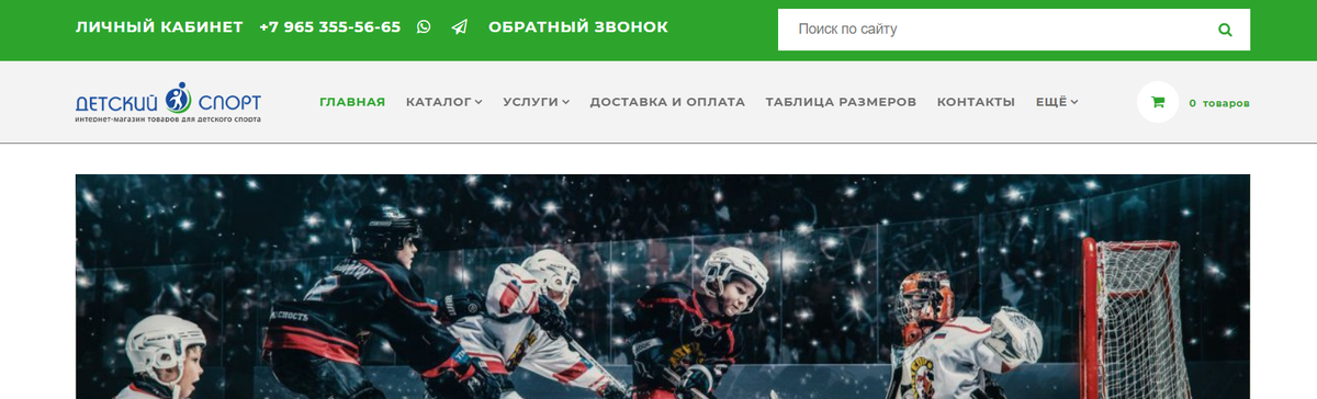 Сайт Интернет-магазина "Детский спорт" - полноценный ресурс на 200 страницах с каталогом товаров и полезной информацией