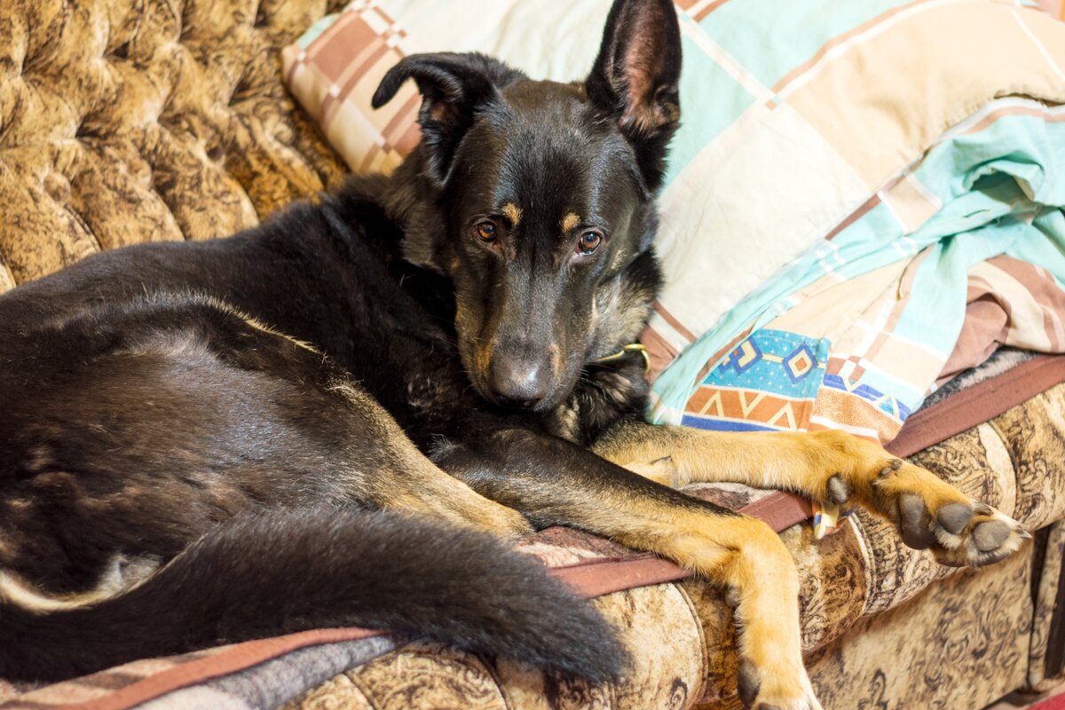 Если вам интересны и близки темы канала, ставьте палец вверх и подписывайтесь на канал!  Вы поможете больше рассказать для вас полезного.