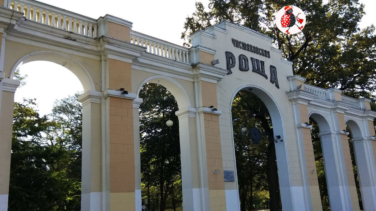 Краснодаре 2016. Парк Чистяковская роща в Краснодаре. Первомайский парк Чистяковская роща Краснодар. Арка Чистяковской роще Краснодар. Чистяковская роща в Краснодаре фонтан.