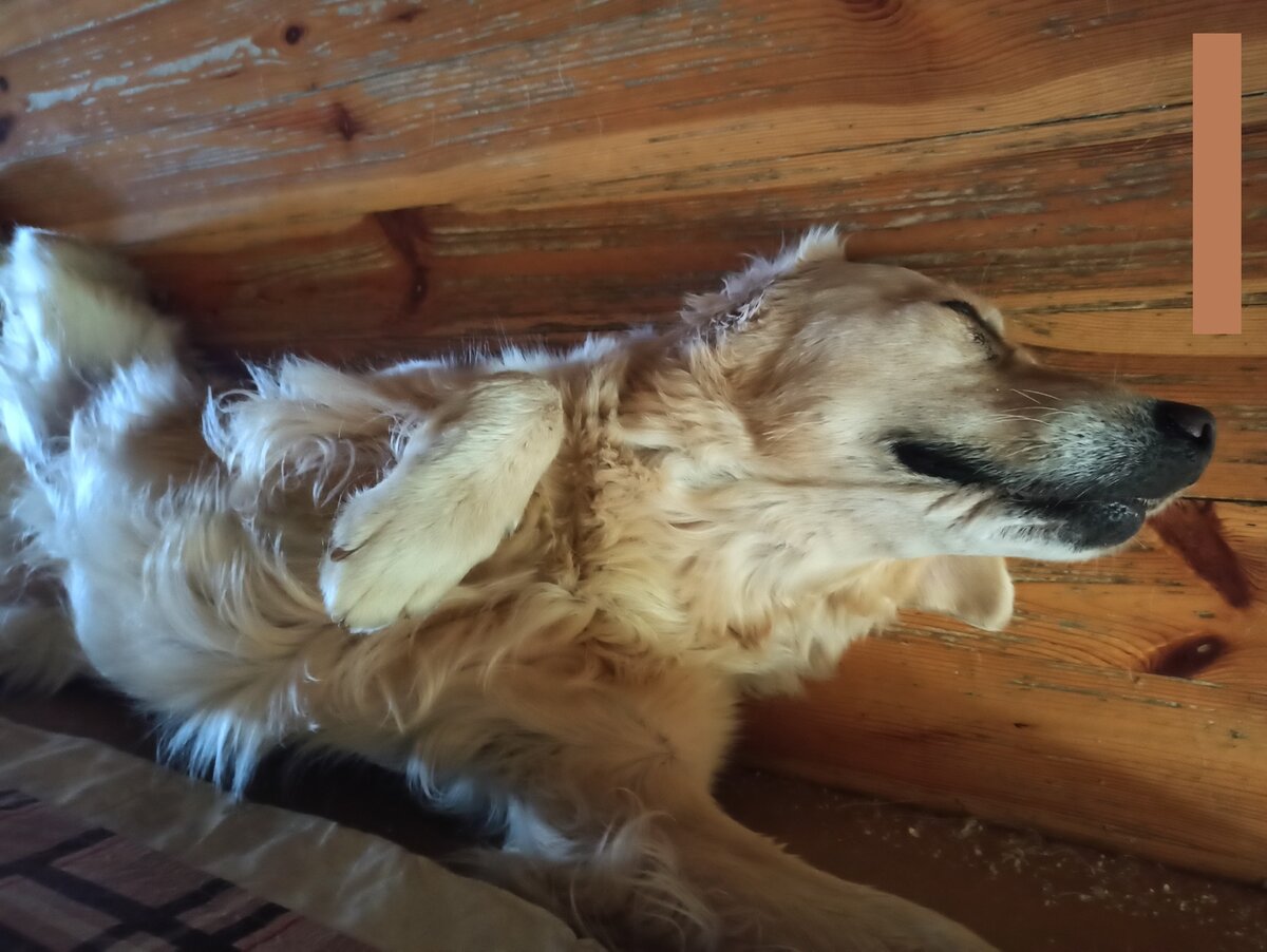 Куба отдыхает после вахты