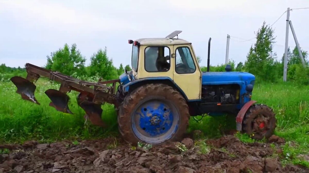 Фото из Яндекс Картинок