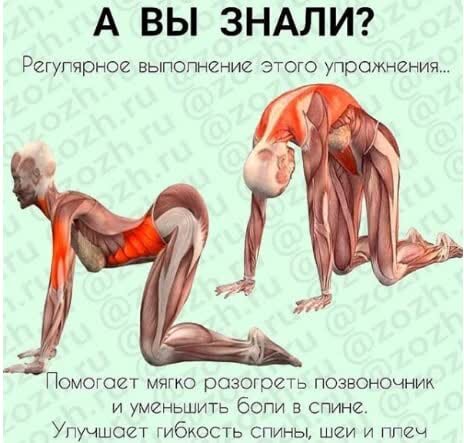фото взято из открытых источников
