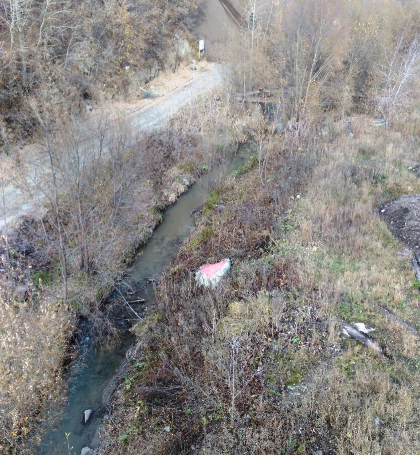 Если спуститься к берегу то окажется что там гуляют с собаками и устраивают пикники местные жители.