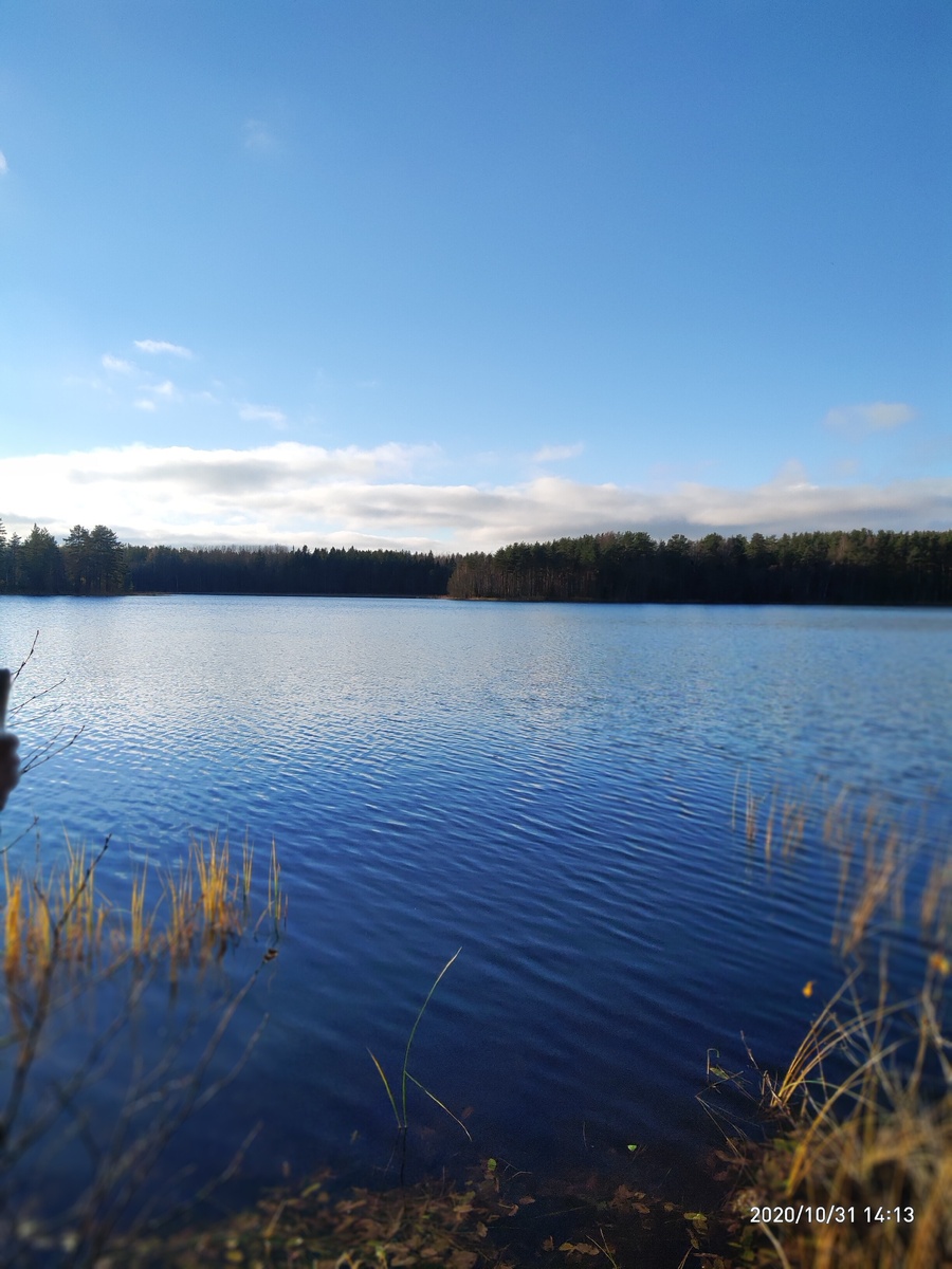 Солнечный дЕнь