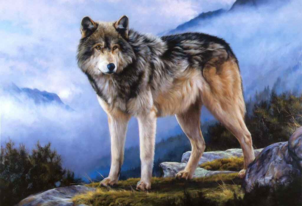 Значение волчьего чертога для мужчин: