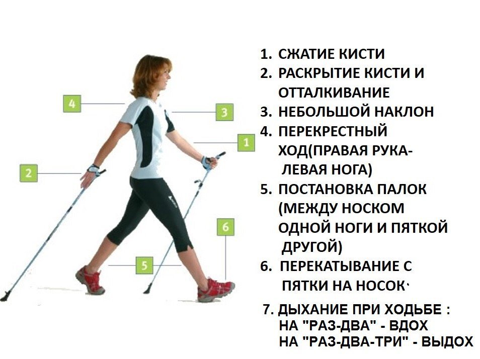 Фото взято из "Яндекс- картинок"