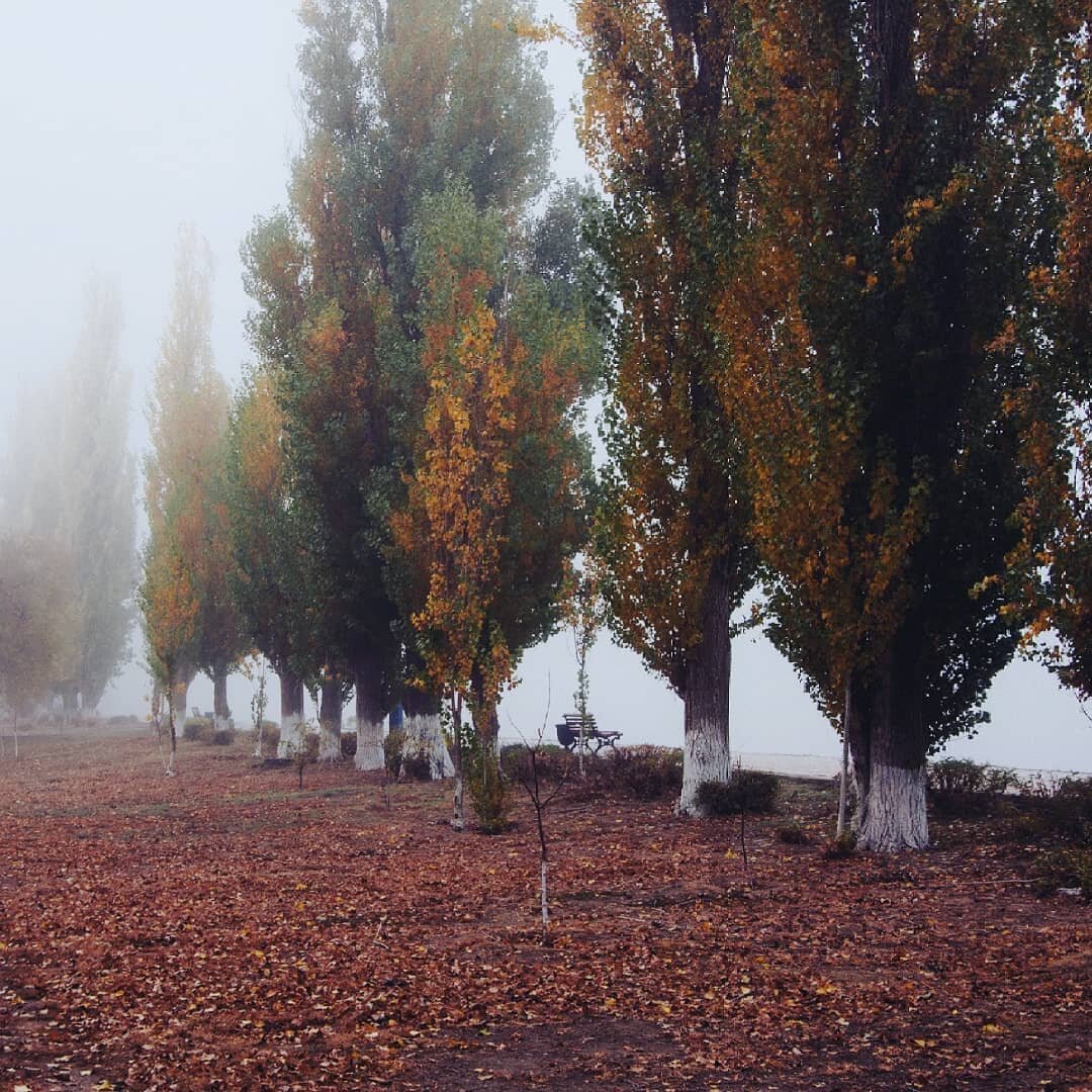 Фото мое: https://www.instagram.com/p/BpAU_dRhLsM/ Мой профиль: februaryinspired