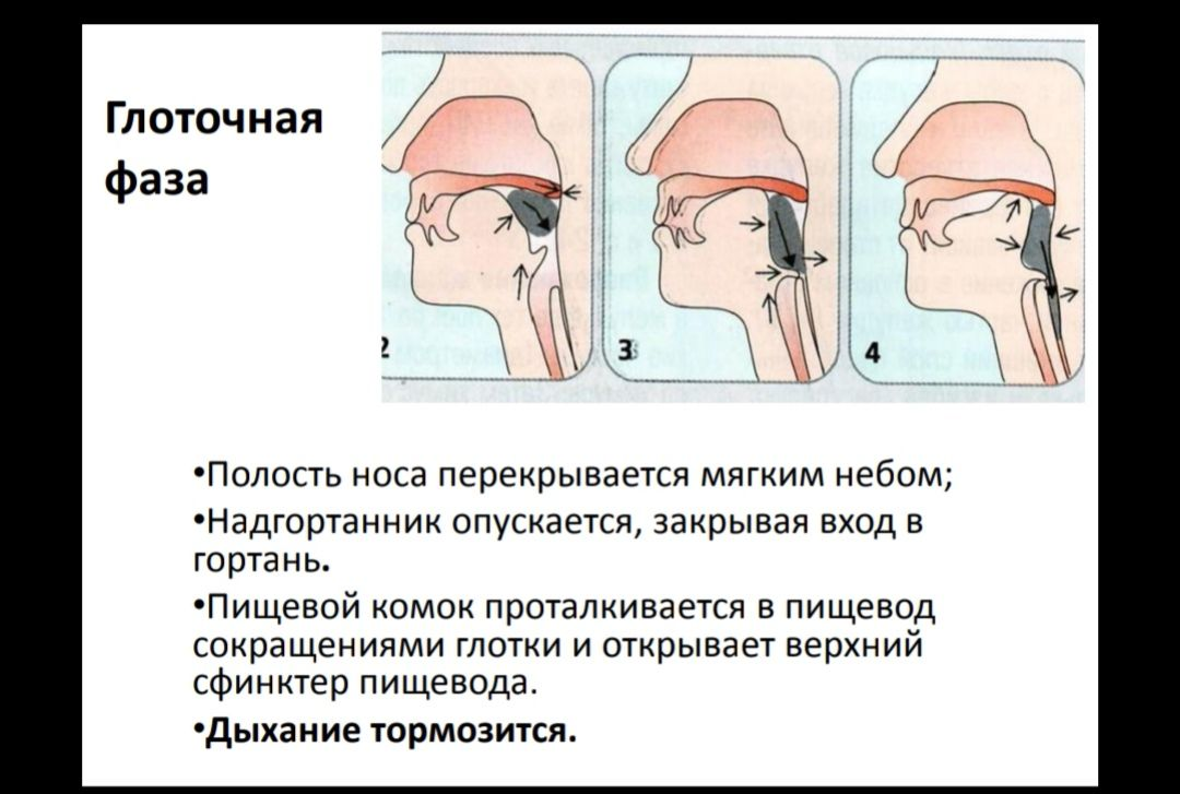 Сосание глотание. Таблетка может застрять в горле. Что делать если в горле застряла. Сложно глотать таблетки. Как научить ребенка глотать.