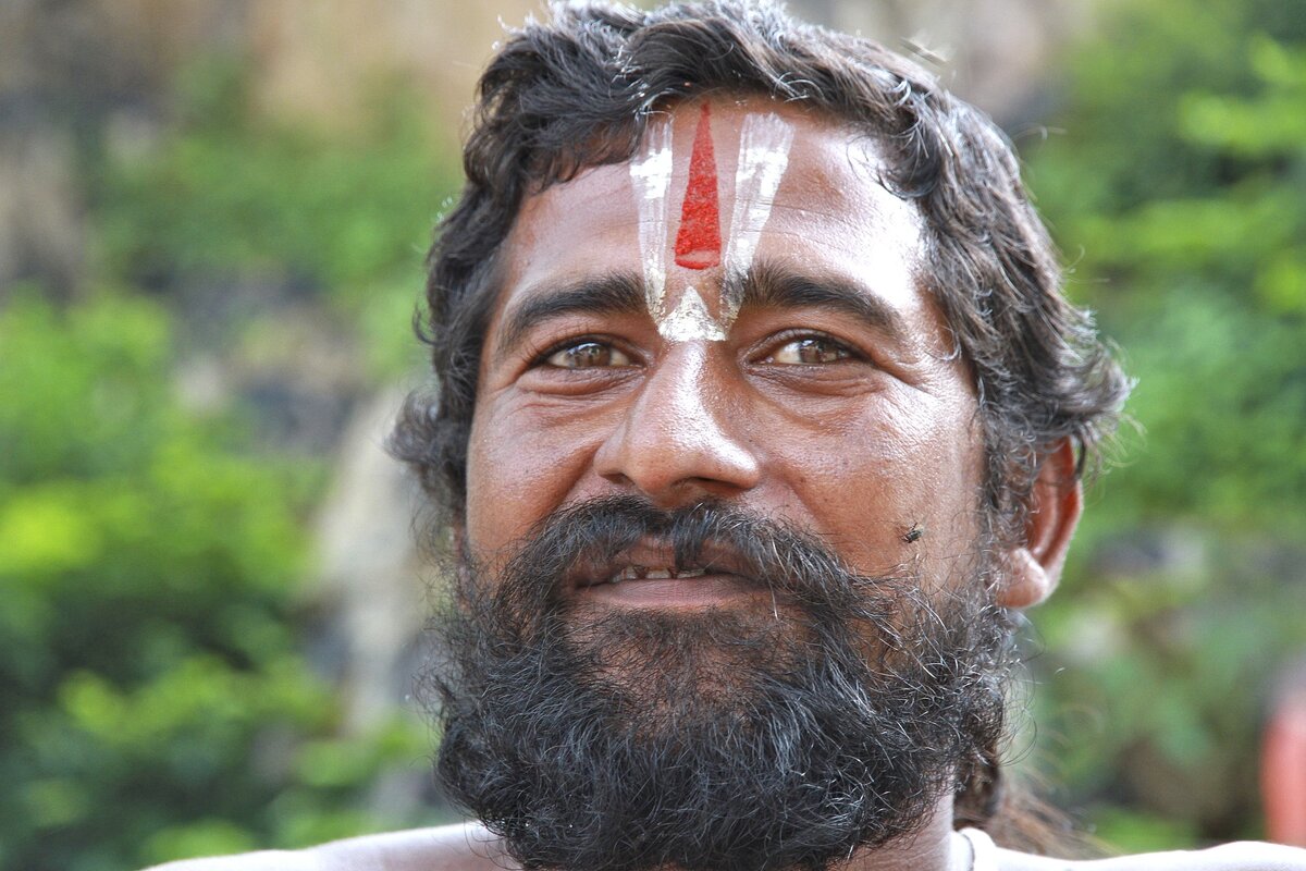 Изображение Michele De Vivo с сайта Pixabay  