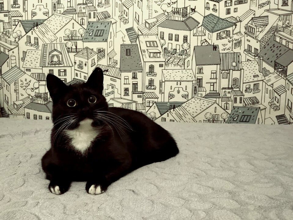 Рассказы яндекс дзен. Навигатор рассказов на дзен. Рассказы дзен из жизни. Яндекс дзен не показывает видео. Навигатор рассказов на дзен.