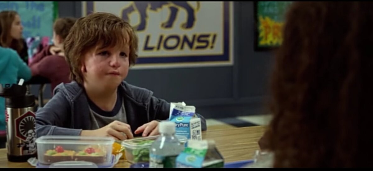 Фильм про необычного мальчика, которому пришлось пережить много операций чтобы жить. Но его трудности этим не закончились! Ведь он идет в школу. Найдет ли он там друзей? 