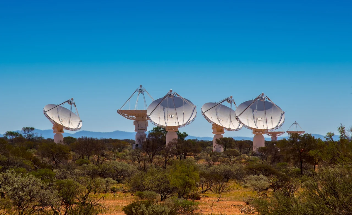 Australian Square Kilometre Array Pathfinder, фото gizmodo.com.au