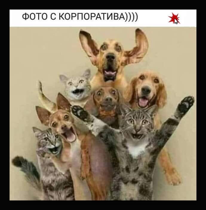 Взято из открытых источников.