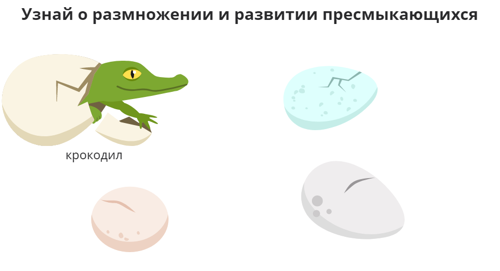 И и и...Ооо... Это крокодил, т-так-кой кр-красив-вый...