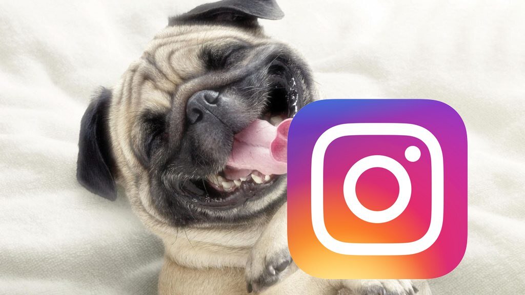 .
1. Факты о вас. Напишите 10 фактов о себе, среди которых 3 - неверных. Пусть ваши подписчики попробуют догадаться, какие из фактов - неправильные.
2. Расскажите историю из жизни. Это может быть забавная ситуация, личный опыт или случай, заставивший вас по-другому смотреть на мир. 
3. Делайте ставку на юмор – берите мемы, смешные изображения и адаптируйте их с учётом тематики своего блога. При этом ваш юмор не должен никого унижать, содержать грубые слова.
4. Найди отличие. Опубликуйте 2 фотографии с 5 разными отличиями и попросите подписчиков найти эти отличия.
5. Напишите мотивационный пост – это может быть популярная мотивирующая фраза или что-то личное. 
6. Опубликуйте комикс – такой формат любим пользователями Инстаграм. Достоинством этого решения является возможность интересной подачи большого объёма информации. 
7. Проведите конкурс с выгодными для вас условиями. Например, участник должен поставить нужный вам хештег, отметить в комментариях друзей.
8. Организуйте розыгрыш призов за репост, подписку или комментарий. Так вы быстро увеличите количество фолловеров, повысите вовлечённость уже имеющихся подписчиков.
9. Используйте инфоповоды. К примеру, в День Победы вы можете написать интересный пост про ваших бабушек и дедушек.
10. Найди меня на фото. Заранее подготовьте фотографию, где вас трудно отыскать. И предложите вашим подписчикам найти вас на фото.
Помимо этих идей можно придумать еще множество других развлекательных и интересных тем. Самое главное - проявить креативность и индивидуальность. 