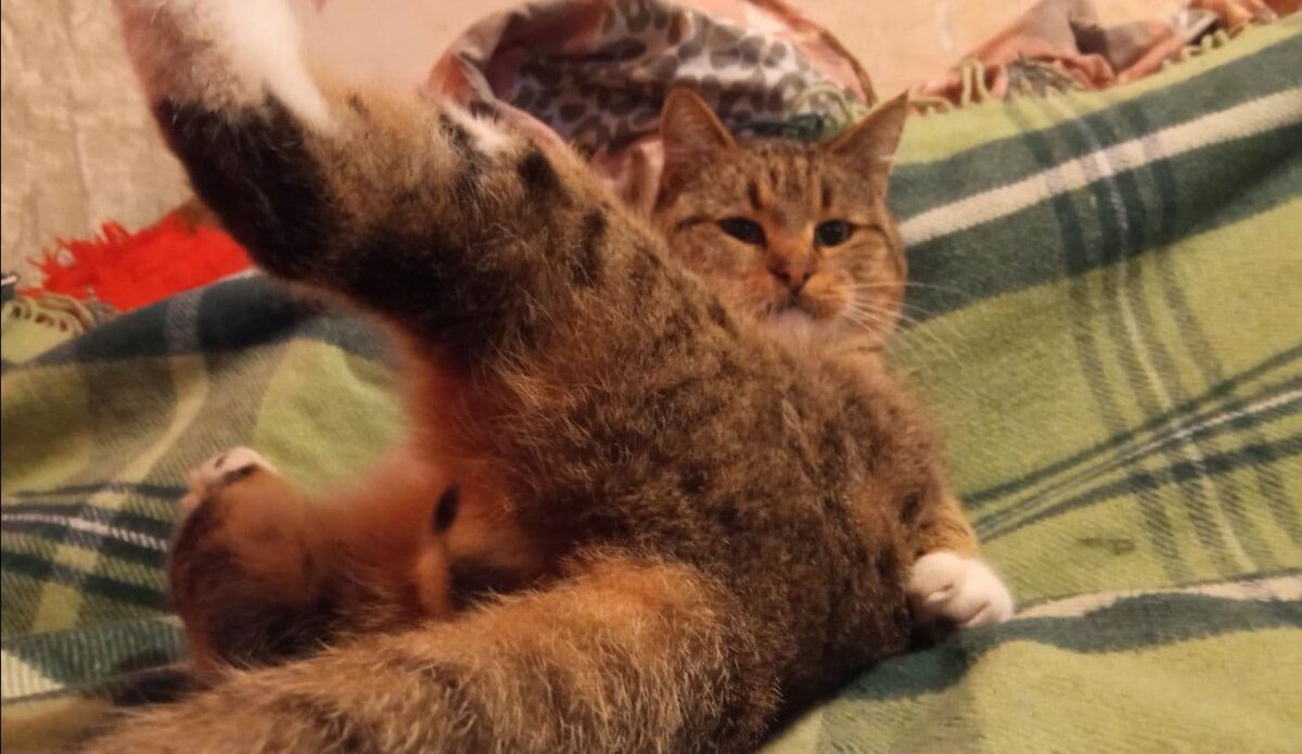 Такое ощущение что не он у меня живет а я у него/Фото сделано автором канала.