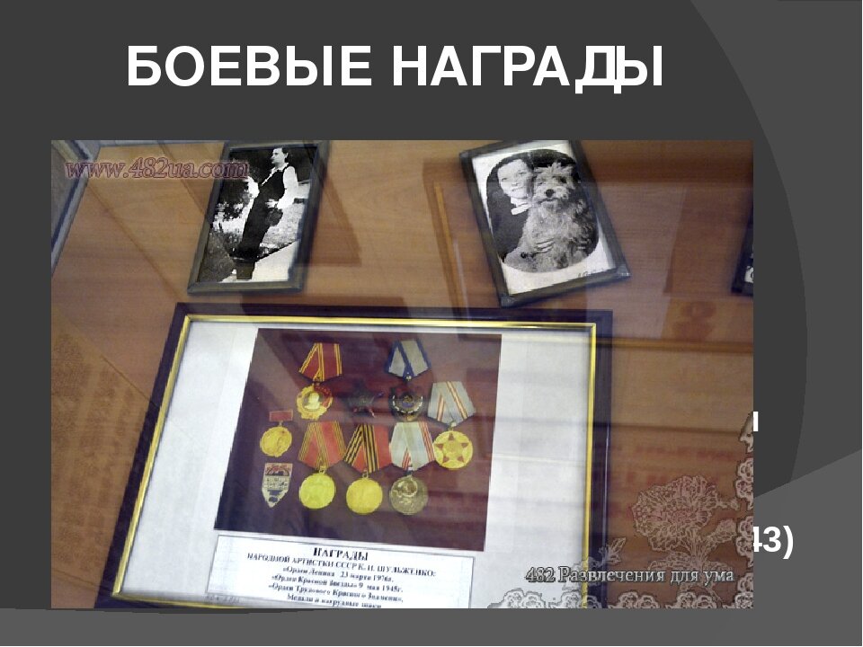 Эти награды вызывают уважение. Фото Яндекс.Картинки