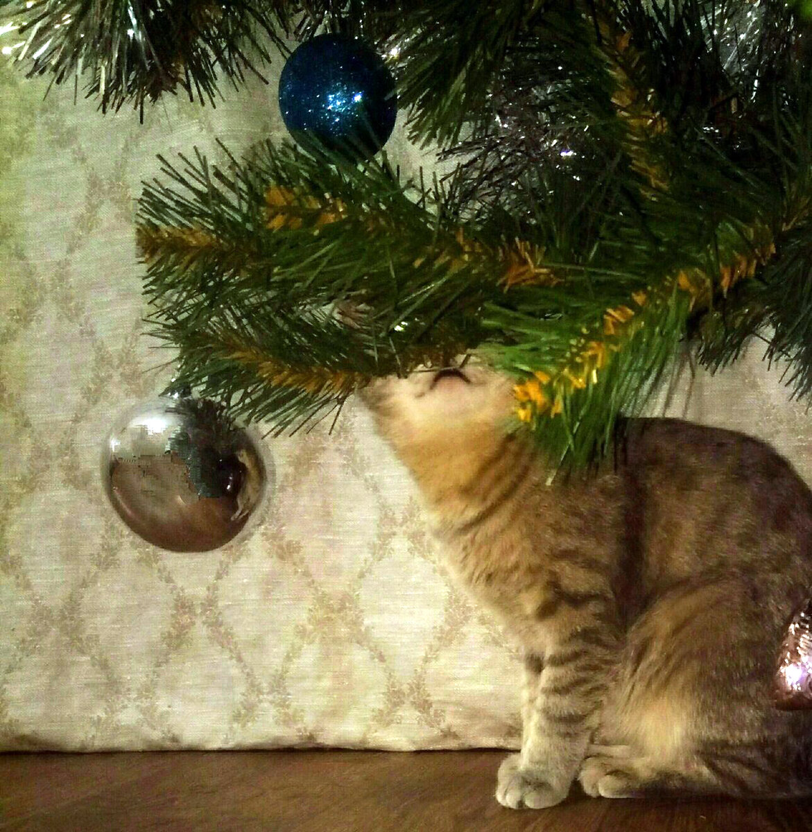 Дешёвые пластиковые игрушки безопаснее стеклянных 