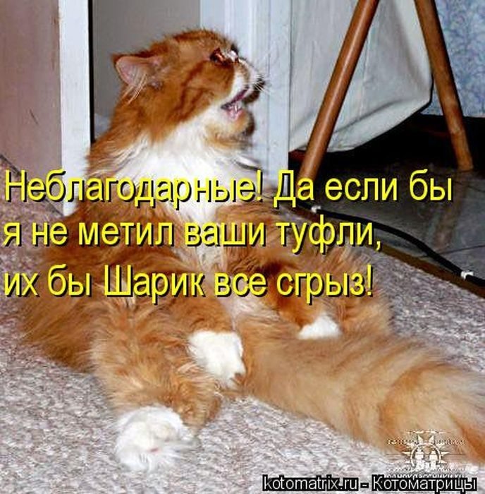 Бедненький ты мой...