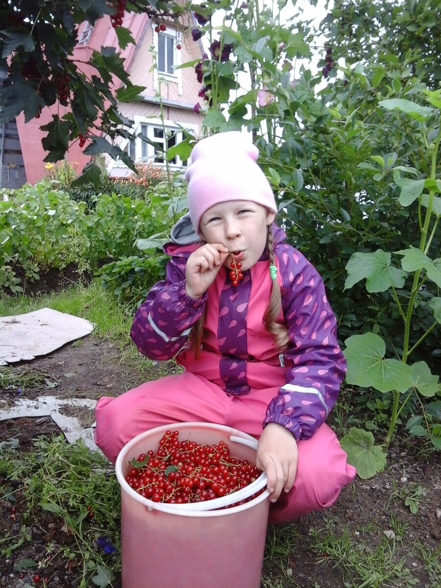 И вкусно, и полезно