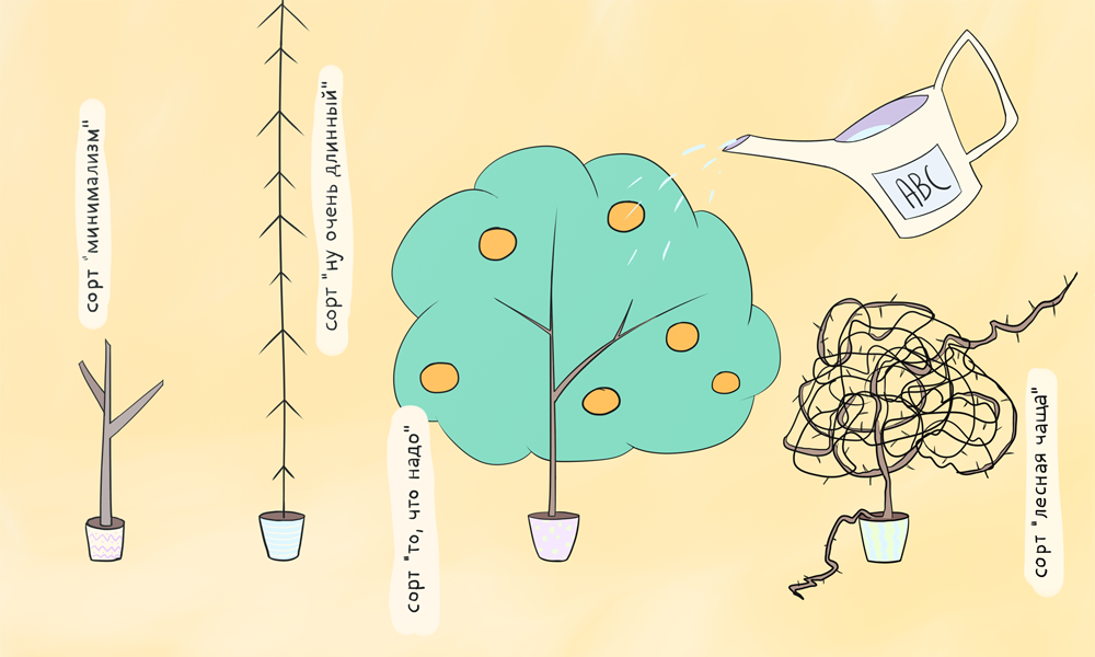 Иллюстрация Екатерины Урусовой 