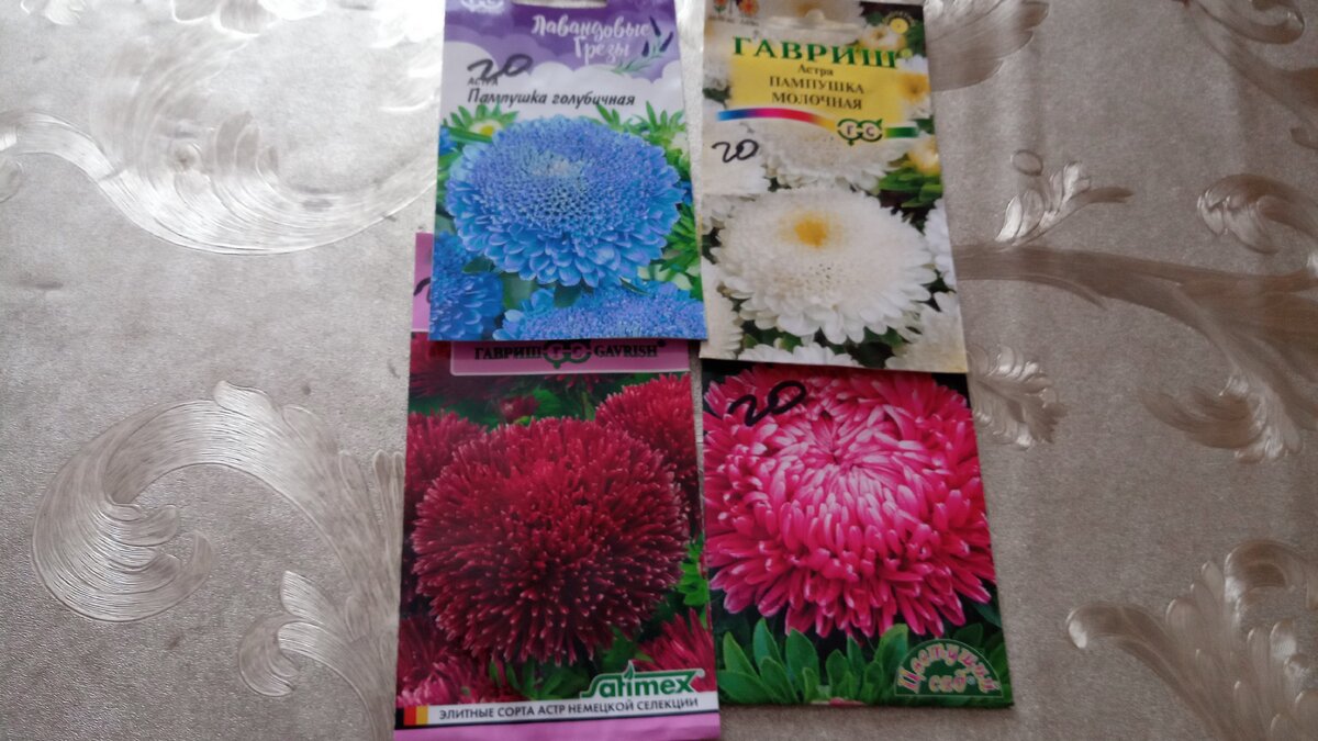 Астры
