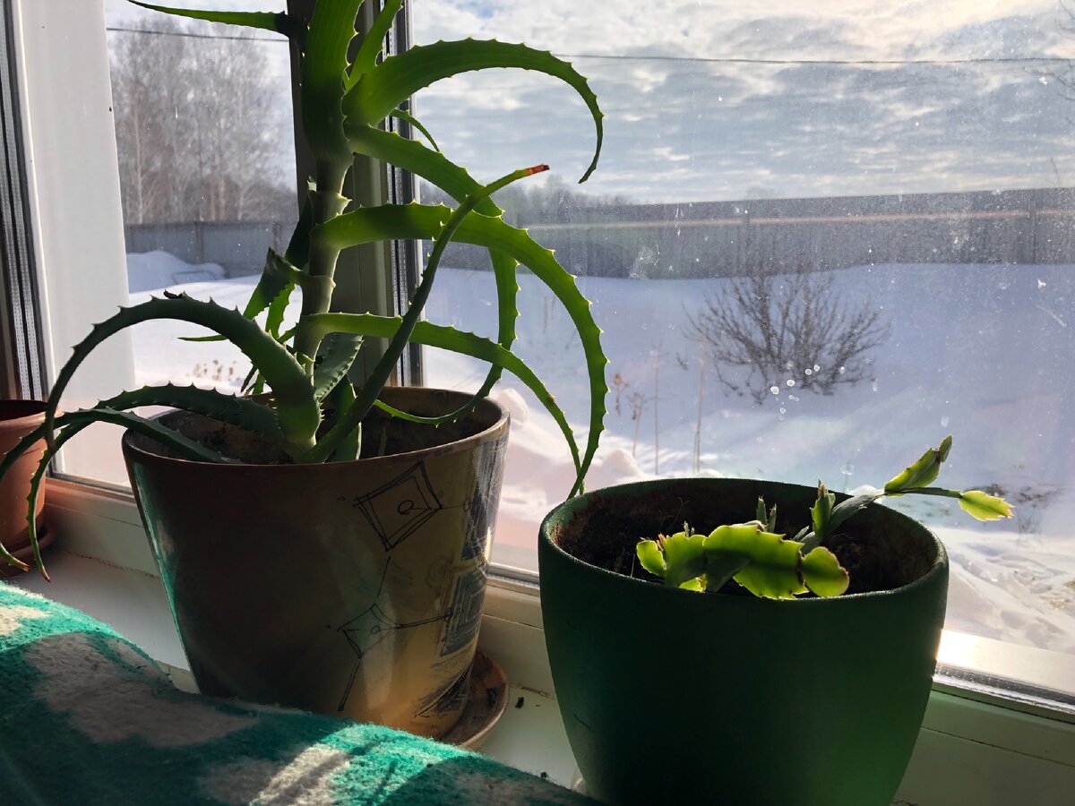 Пока нет общих фото дома внутри, потому что не все так, как хотелось бы. Фото автора