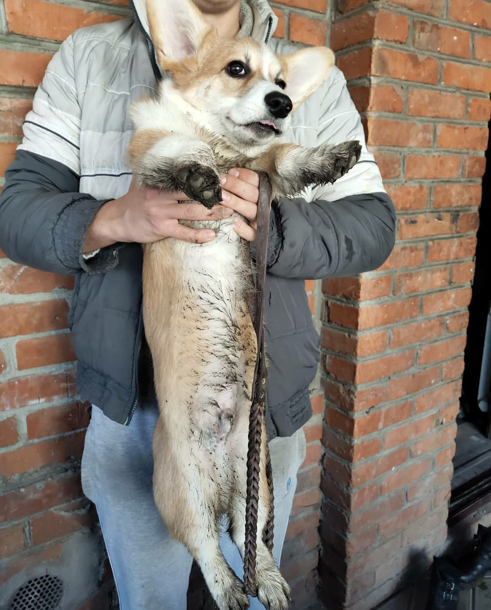 Хорошо погуляли