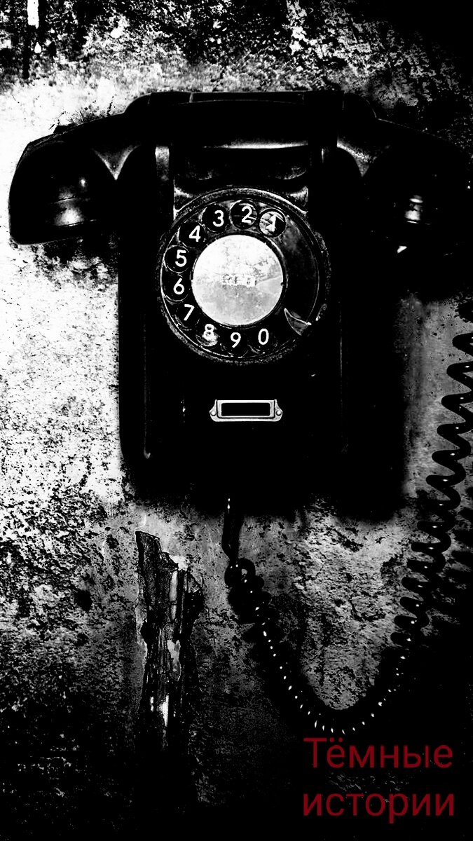 Изображение для иллюстрации.