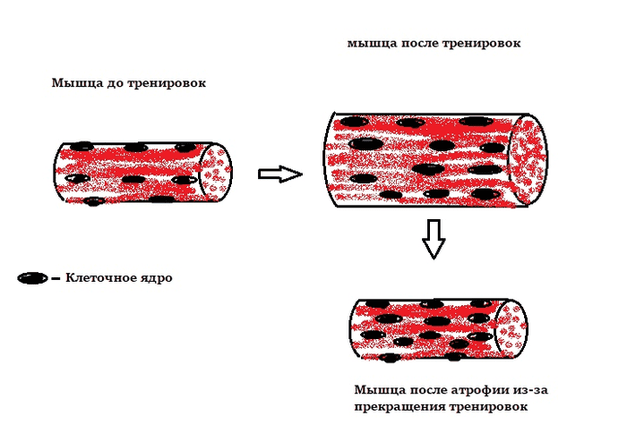 Фото взято с открытого источника