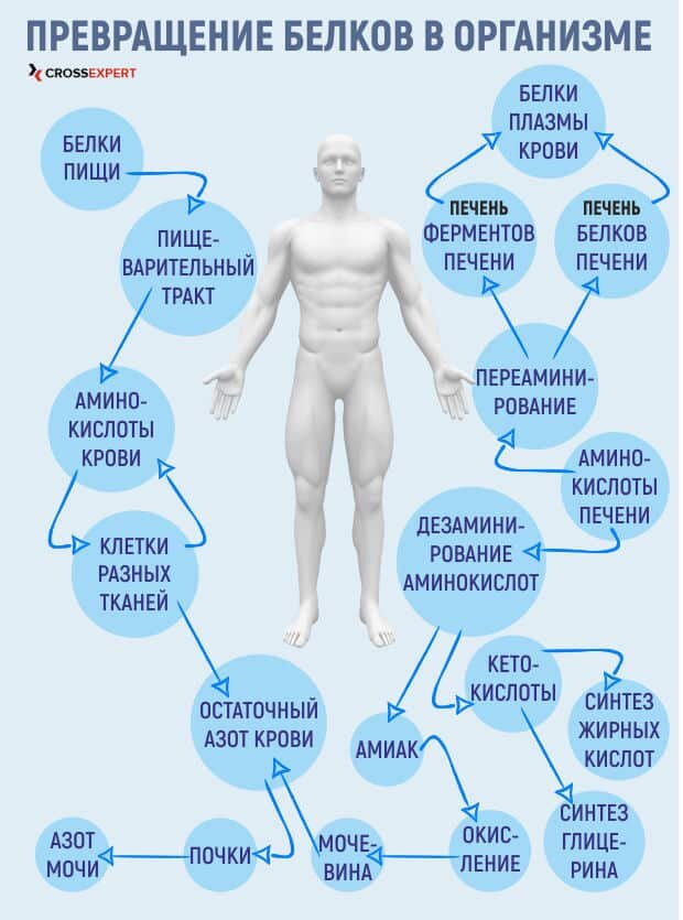 15 причин, почему не уходит вес, даже если ты живешь впроголодь