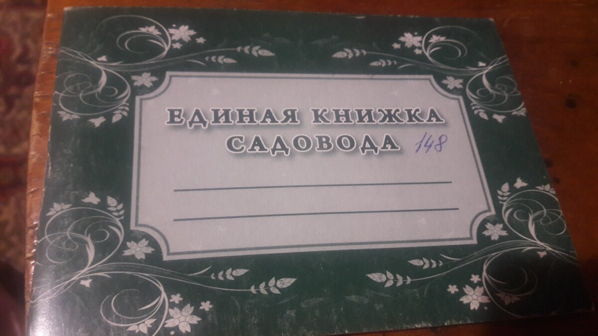 Наш первый документ на дачу