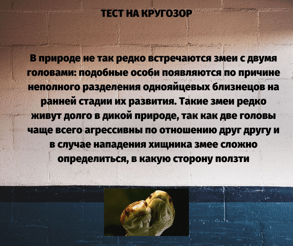 Книги для расширения кругозора. Узкий кругозор. Стремление к самосовершенствованию. Вопросы философии. Образованный человек.