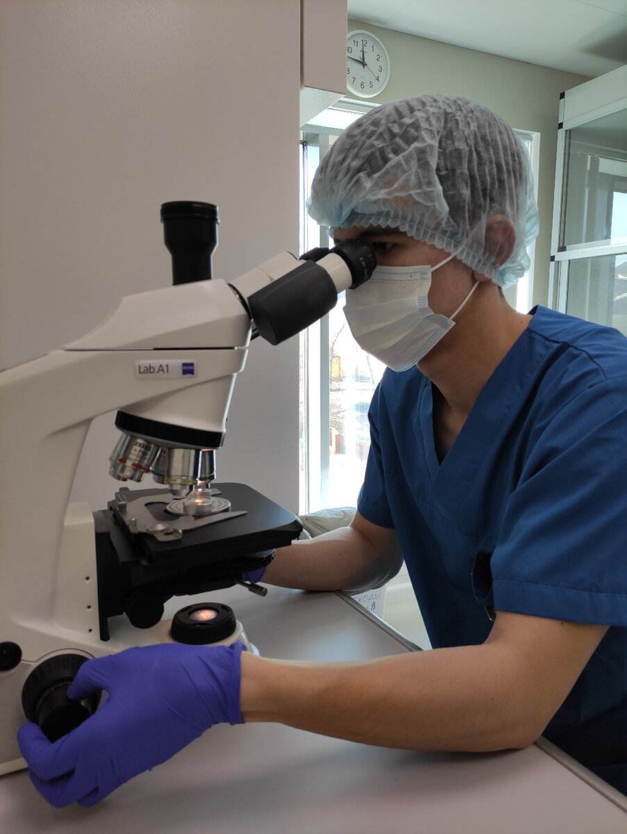 Эмбриолог изучает образец спермы под микроскопом