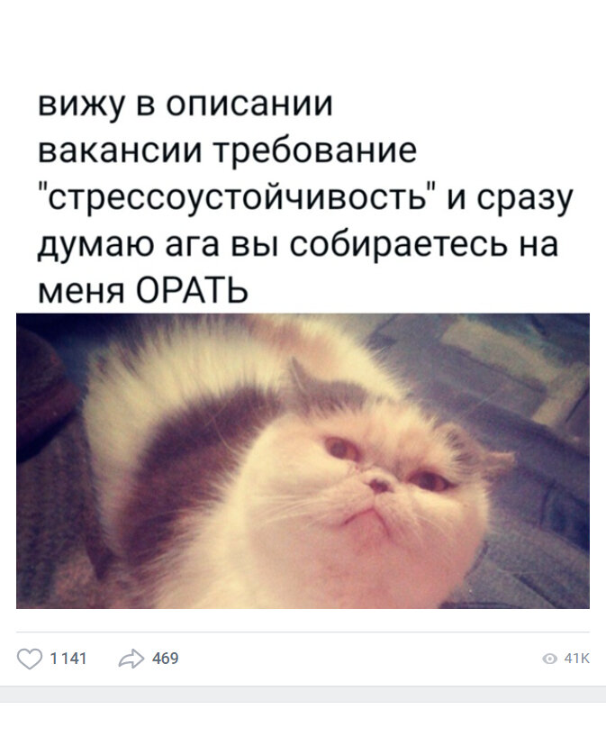 Если работодатель ищет стрессоустойчивого, значит стресса  на этой работе будет очень много. Ищи другую работу.